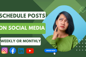 schedule posts on social media accounts