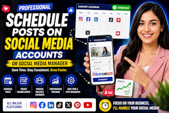schedule posts on social media accounts or social media manager