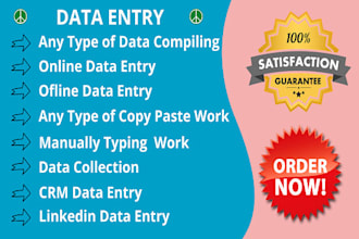 be your virtual assistant, data entry, copy paste, lead generation, email finder