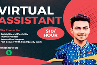 be your professional wordpress virtual assistant
