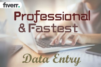 do professional typing, retype documents in 24h