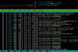 deploy nodejs, python, php applications on linux servers
