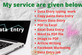 do data entry typing work and copy paste data entry