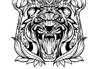 draw black and white