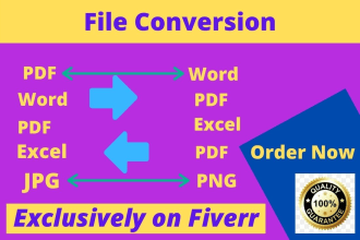do file convert pdf to excel word data entry