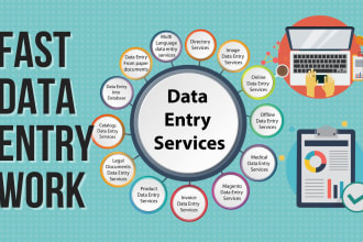 do data entry copy paste data entry typing work