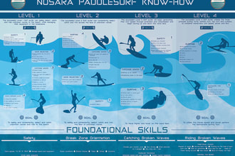 create an appealing, professional infographic
