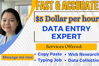 do fast and accurate data entry, copy paste and web research