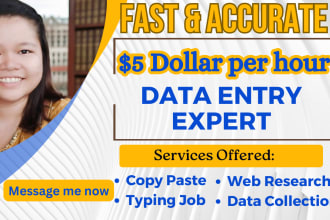 do fast and accurate data entry, copy paste and web research