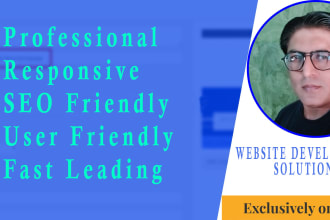 design a responsive wordpress website front end development