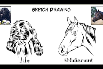 draw sketch vector pet illustration