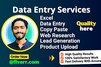 do excel data entry, copy paste, web research, scraping, accurate data entry