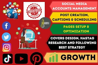 be your social media marketing manager for organic traffic