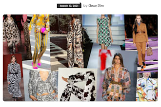 write charismatic fashion blog articles