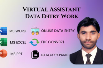 do professional work of data entry, excel spreadsheet
