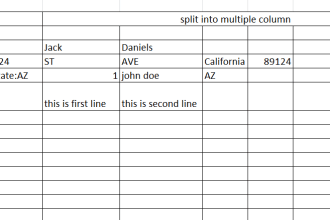 split data in single excel cell into multiple column