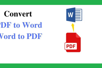 convert PDF to word and viceversa