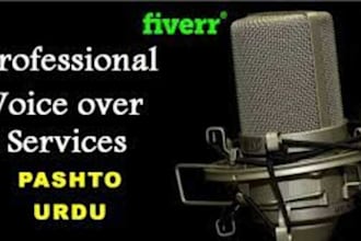 do professional pashto and urdu to english and vice versa voice over