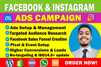 be your facebook ads campaign manager, fb advertising, fb ads campaign expert