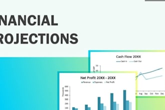 do financial model, projections and financial analysis