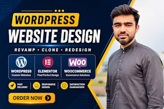 develop, revamp, or clone a wordpress website with elementor