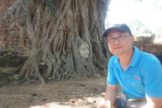 provide professional english chinese translation