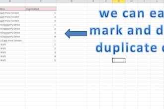 remove duplicate entries in excel rows