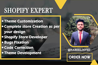 build a shopify theme design or redesign shopify store as well as custom theme