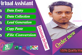 do wordpress data entry for you