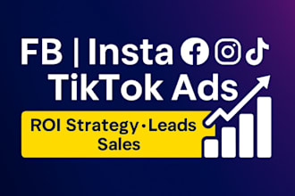 run and manage facebook, instagram, tiktok ads with ROI focused strategy