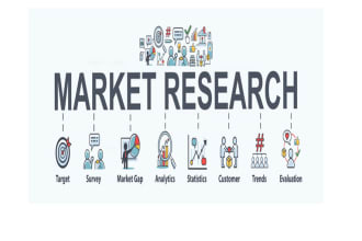 provide comprehensive market research and industry analysis of your business