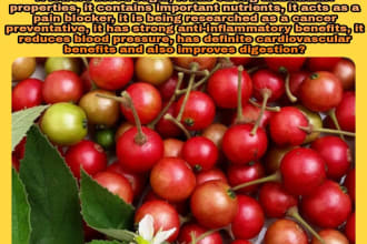 create an eyecatching and mindblowing fun facts