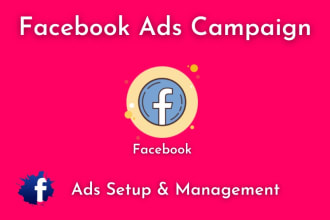 run facebook ads campaign