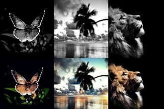 do colour correction and colour change