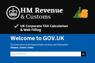 fix UK tax account bookkeeping properly, tax return to hmrc like pro