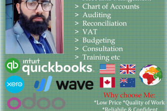 do bookkeeping for quickbooks, xero, wave, sage, oracle etc