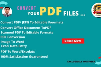 do accurate PDF convert,data entry,copy paste,in 12 hours