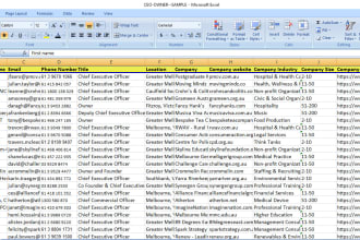 do ceo, cfo, cmo, cto, coo, owner, founder, vp lead generation