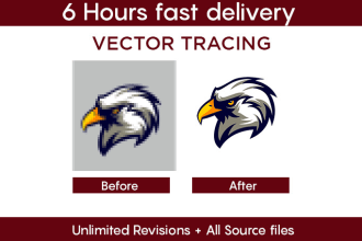 do vector art, recreate, remake redesign your existing logo