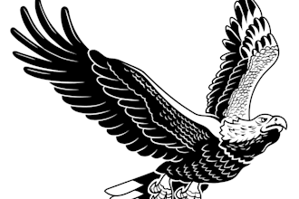 create high quality attractive patriotic logo with unlimited revisions