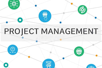 do your project management task