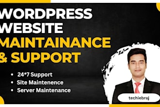 provide wordpress site maintenance and support services