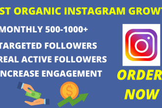 do fast organic instagram growth and engage 1 hour daily