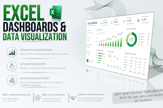build professional excel dashboards and data visualizations