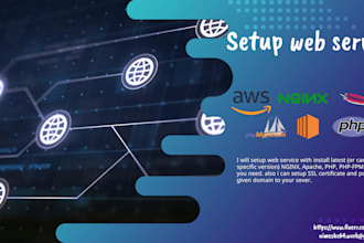 do setup web server