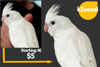 draw your pet, dog, cat or any animal into realistic vector cartoon illustration