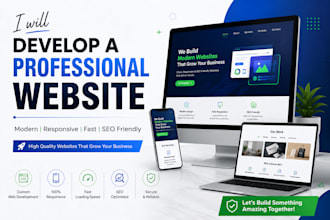 develop a professional website