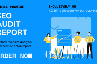 generate professional seo audit report of your website