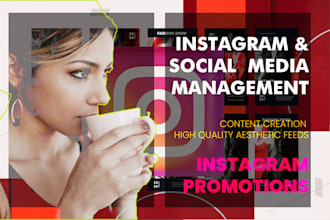 create professional and aesthetic instagram feed