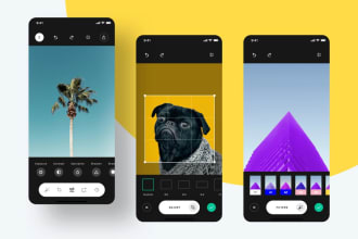 add an image editor feature in your flutter project
